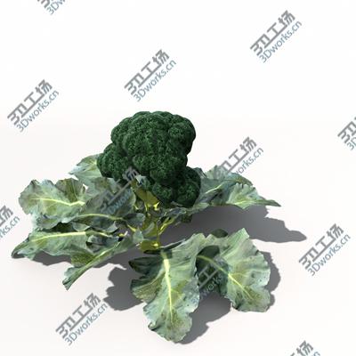 images/goods_img/20210115/Warrior 3 LowPoly/2.jpg